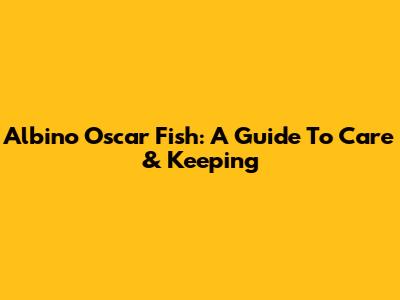 Albino Oscar Fish: A Guide To Care & Keeping