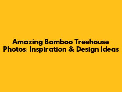 Amazing Bamboo Treehouse Photos: Inspiration & Design Ideas