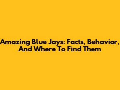 Amazing Blue Jays: Facts, Behavior, And Where To Find Them