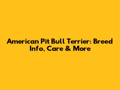 American Pit Bull Terrier: Breed Info, Care & More