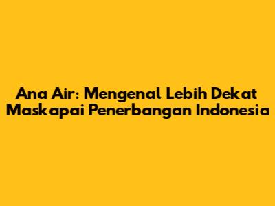 Ana Air: Mengenal Lebih Dekat Maskapai Penerbangan Indonesia
