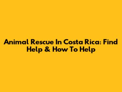 Animal Rescue In Costa Rica: Find Help & How To Help