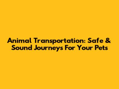 Animal Transportation: Safe & Sound Journeys For Your Pets
