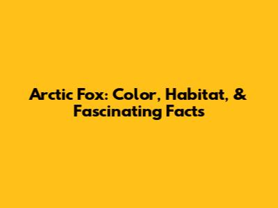 Arctic Fox: Color, Habitat, & Fascinating Facts