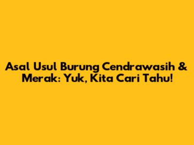 Asal Usul Burung Cendrawasih & Merak: Yuk, Kita Cari Tahu!
