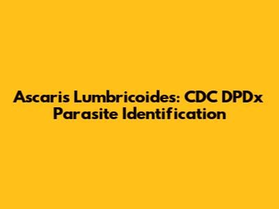 Ascaris Lumbricoides: CDC DPDx Parasite Identification