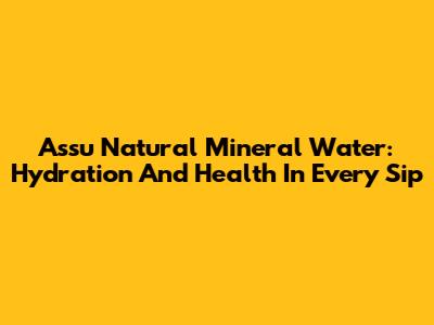 Assu Natural Mineral Water: Hydration And Health In Every Sip