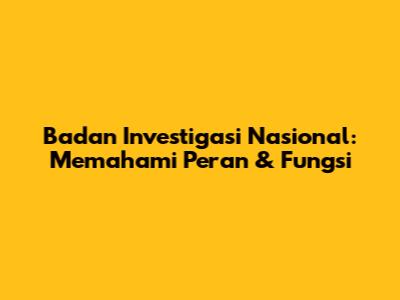 Badan Investigasi Nasional: Memahami Peran & Fungsi