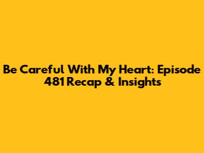 Be Careful With My Heart: Episode 481 Recap & Insights