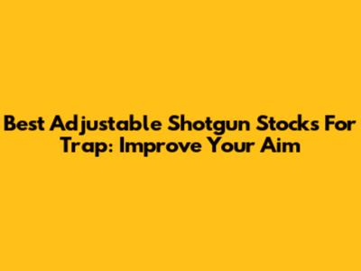 Best Adjustable Shotgun Stocks For Trap: Improve Your Aim