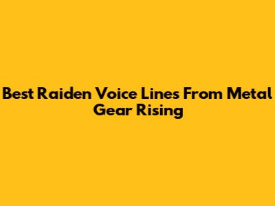 Best Raiden Voice Lines From Metal Gear Rising