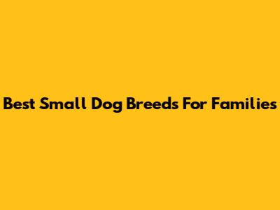 Best Small Dog Breeds For Families