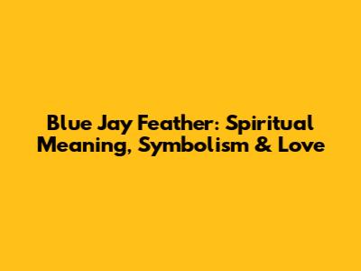 Blue Jay Feather: Spiritual Meaning, Symbolism & Love