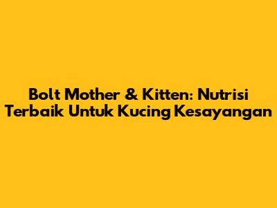 Bolt Mother & Kitten: Nutrisi Terbaik Untuk Kucing Kesayangan