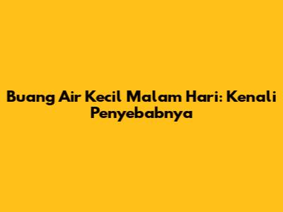 Buang Air Kecil Malam Hari: Kenali Penyebabnya