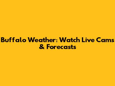 Buffalo Weather: Watch Live Cams & Forecasts