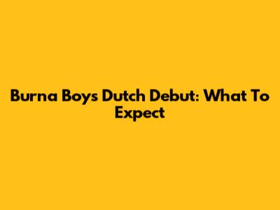 Burna Boy's Dutch Debut: What To Expect