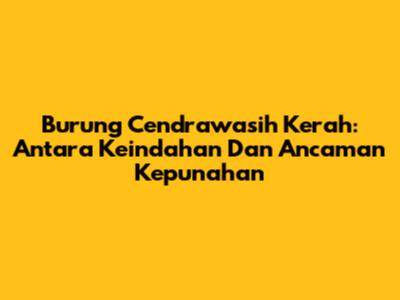 Burung Cendrawasih Kerah: Antara Keindahan Dan Ancaman Kepunahan