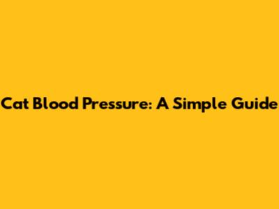 Cat Blood Pressure: A Simple Guide