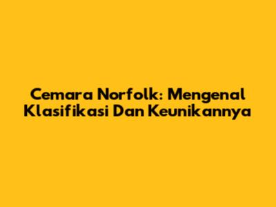 Cemara Norfolk: Mengenal Klasifikasi Dan Keunikannya