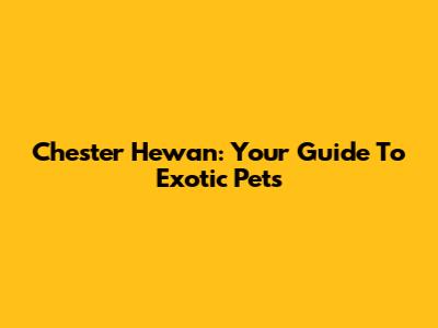 Chester Hewan: Your Guide To Exotic Pets