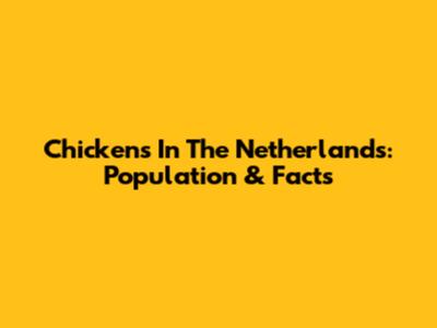 Chickens In The Netherlands: Population & Facts