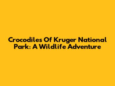 Crocodiles Of Kruger National Park: A Wildlife Adventure