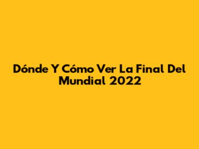 Dónde Y Cómo Ver La Final Del Mundial 2022