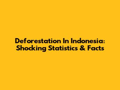 Deforestation In Indonesia: Shocking Statistics & Facts