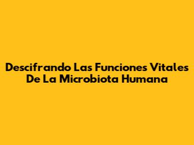 Descifrando Las Funciones Vitales De La Microbiota Humana