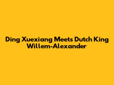 Ding Xuexiang Meets Dutch King Willem-Alexander