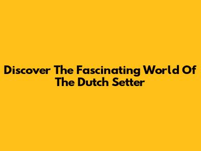 Discover The Fascinating World Of The Dutch Setter