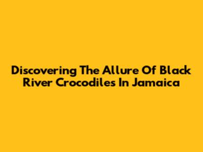 Discovering The Allure Of Black River Crocodiles In Jamaica