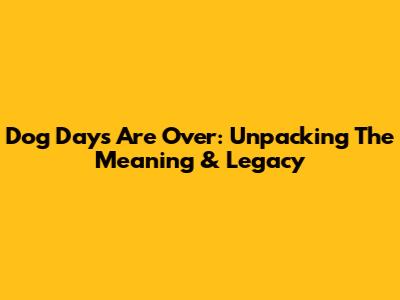 Dog Days Are Over: Unpacking The Meaning & Legacy