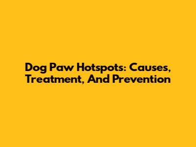 Dog Paw Hotspots: Causes, Treatment, And Prevention