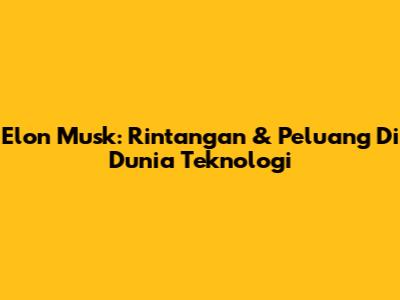 Elon Musk: Rintangan & Peluang Di Dunia Teknologi