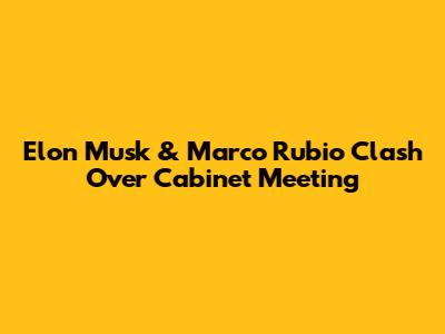 Elon Musk & Marco Rubio Clash Over Cabinet Meeting
