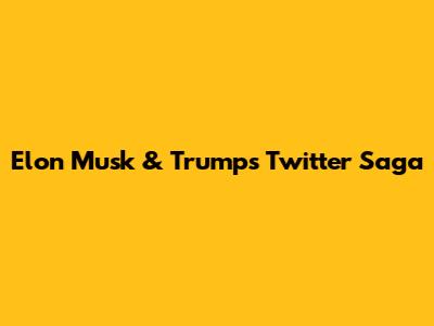 Elon Musk & Trump's Twitter Saga