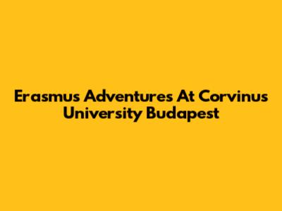 Erasmus Adventures At Corvinus University Budapest