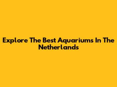 Explore The Best Aquariums In The Netherlands