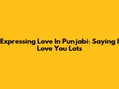 Expressing Love In Punjabi: Saying 'I Love You Lots'