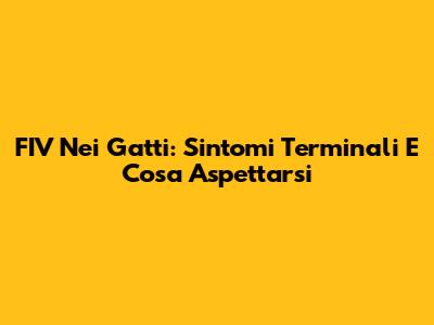 FIV Nei Gatti: Sintomi Terminali E Cosa Aspettarsi