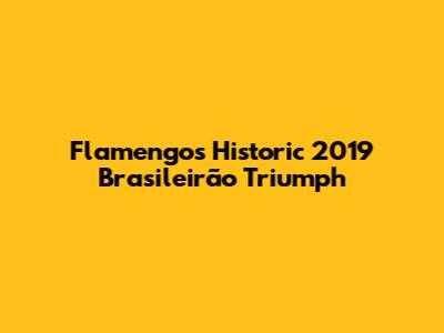 Flamengo's Historic 2019 Brasileirão Triumph