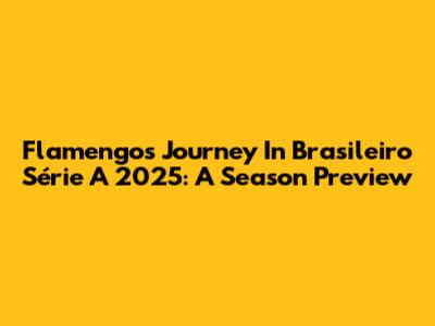 Flamengo's Journey In Brasileiro Série A 2025: A Season Preview