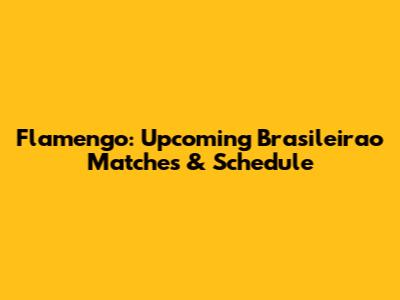 Flamengo: Upcoming Brasileirao Matches & Schedule