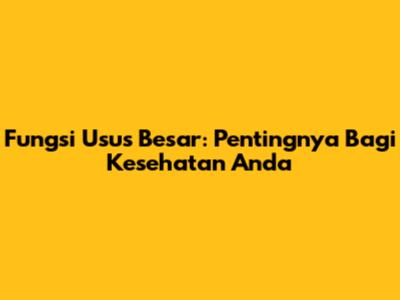 Fungsi Usus Besar: Pentingnya Bagi Kesehatan Anda