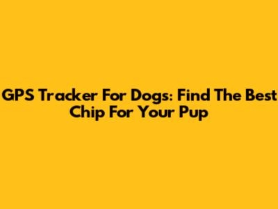 GPS Tracker For Dogs: Find The Best Chip For Your Pup