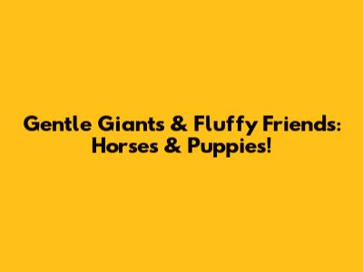 Gentle Giants & Fluffy Friends: Horses & Puppies!