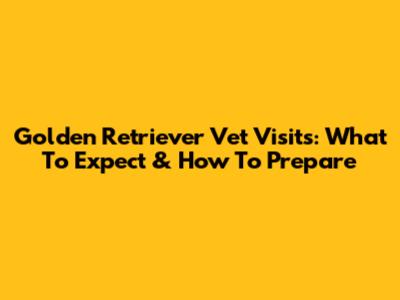 Golden Retriever Vet Visits: What To Expect & How To Prepare
