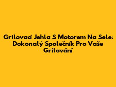 Grilovací Jehla S Motorem Na Sele: Dokonalý Společník Pro Vaše Grilování